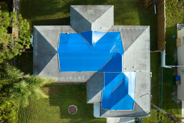 Best Roof Moss and Algae Removal  in Antioch, IL