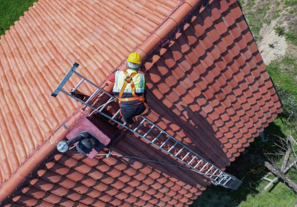 Best Asphalt Shingles Roofing  in Antioch, IL